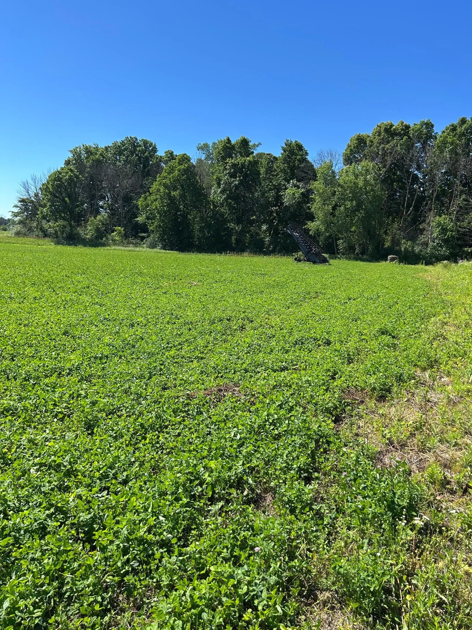 Photo 12 of Tbd Old Cty Rd B