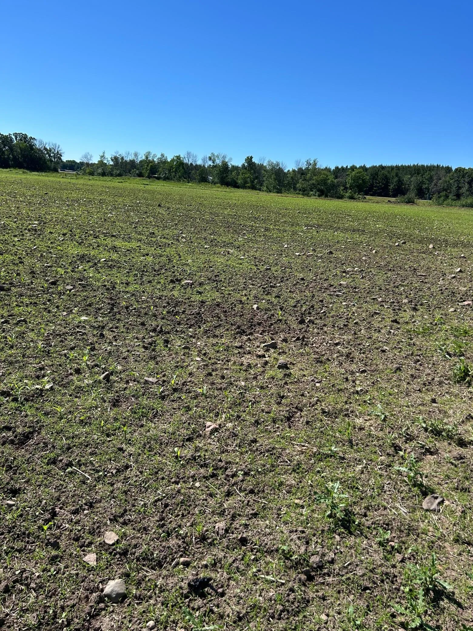 Photo 14 of Tbd Old Cty Rd B