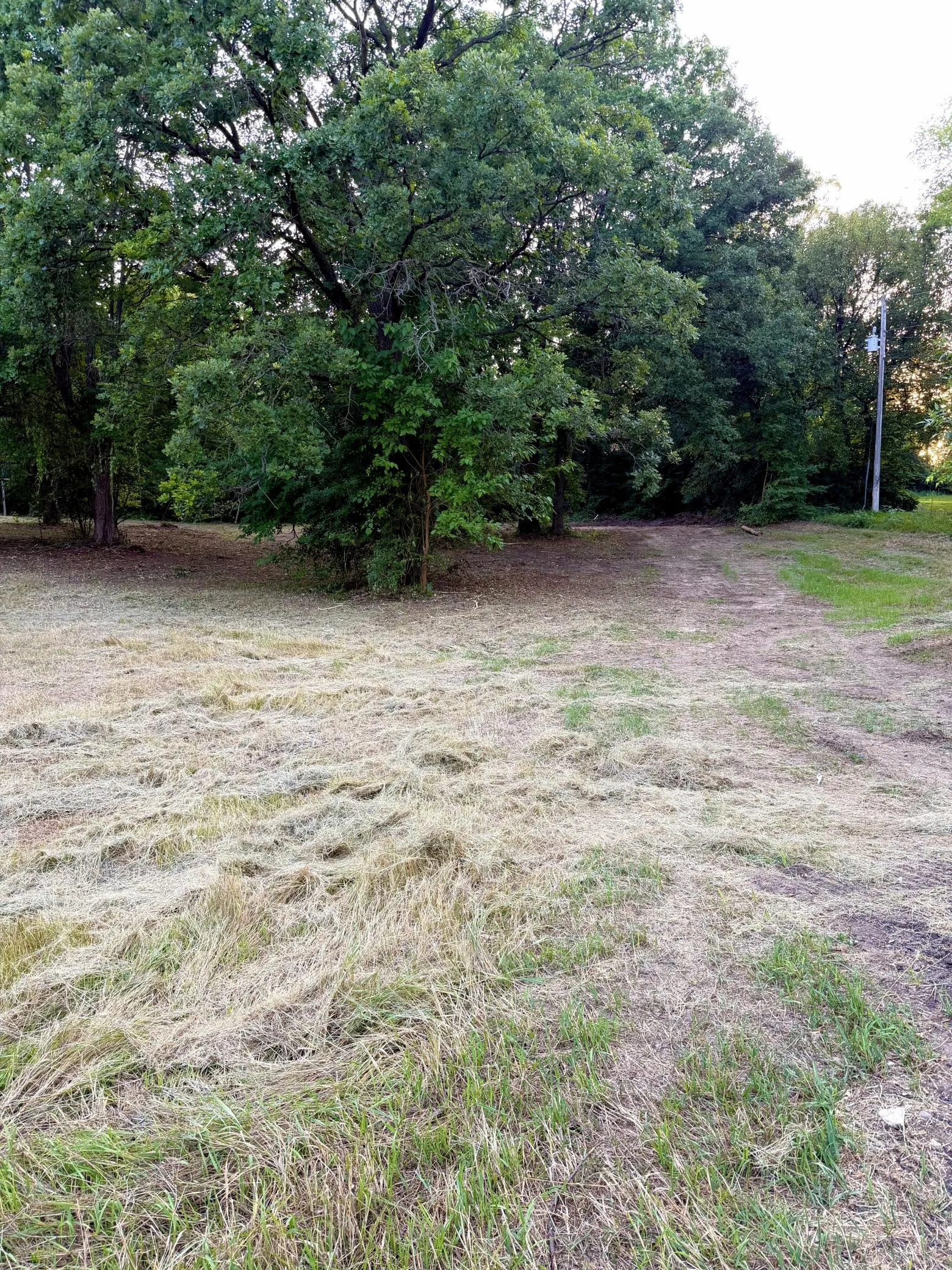 Photo 33 of 8131 Ogren Ne Avenue