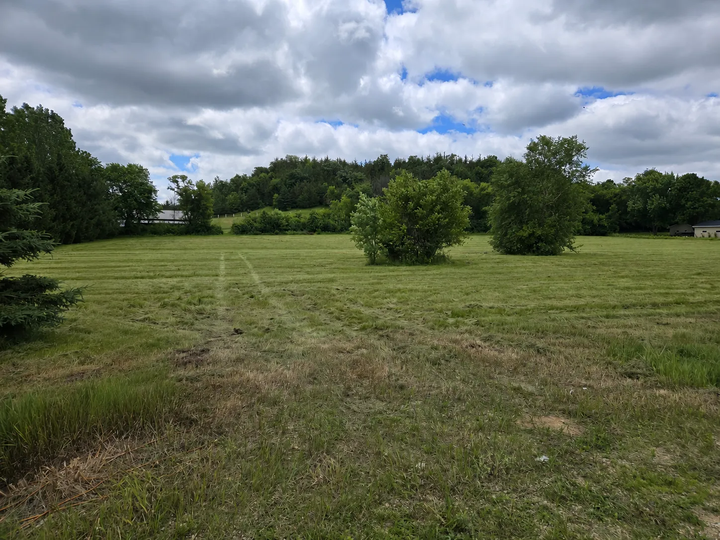 Photo 19 of 238 County Road Ss