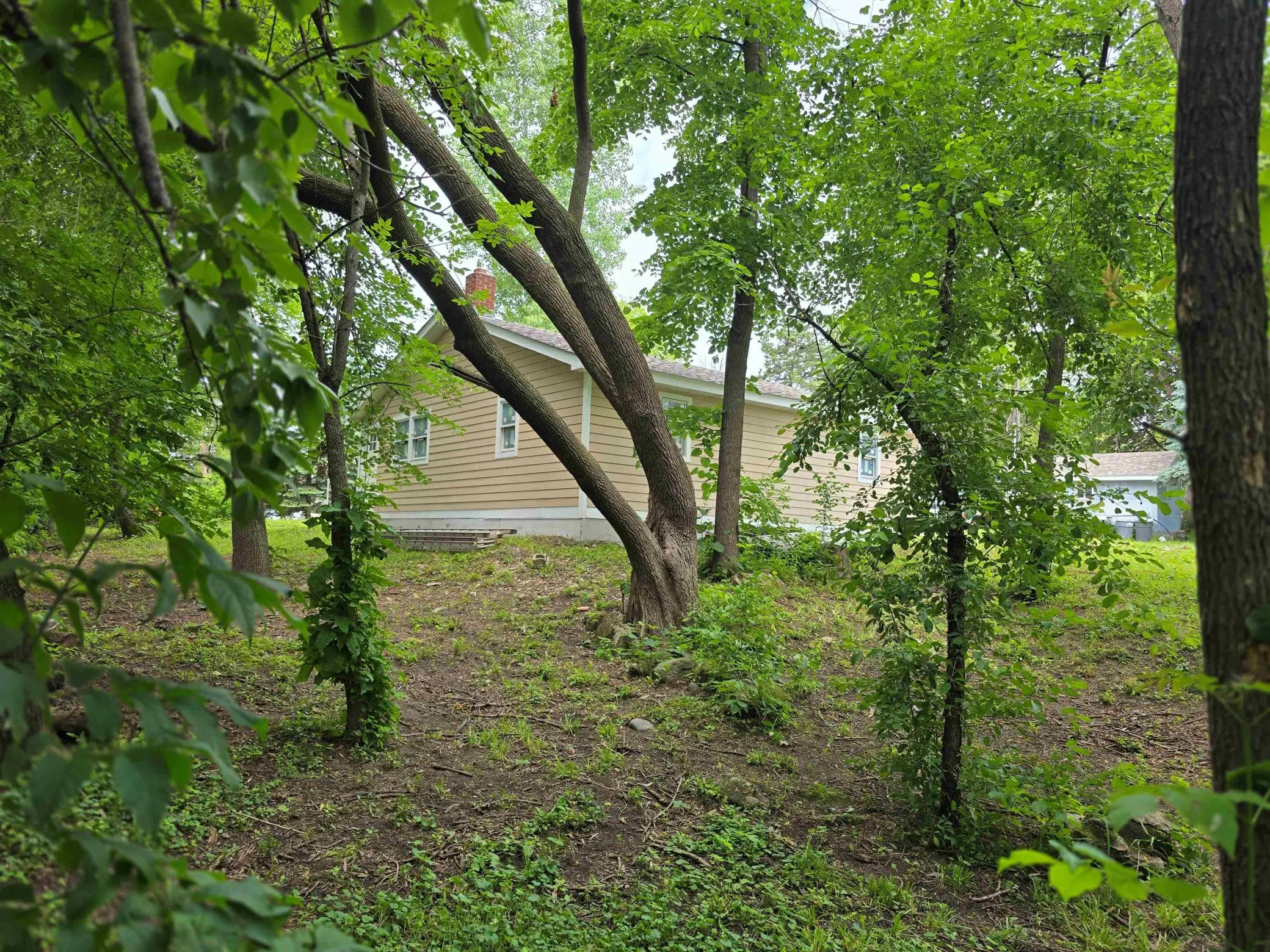 Photo 9 of 7749 Pioneer Road
