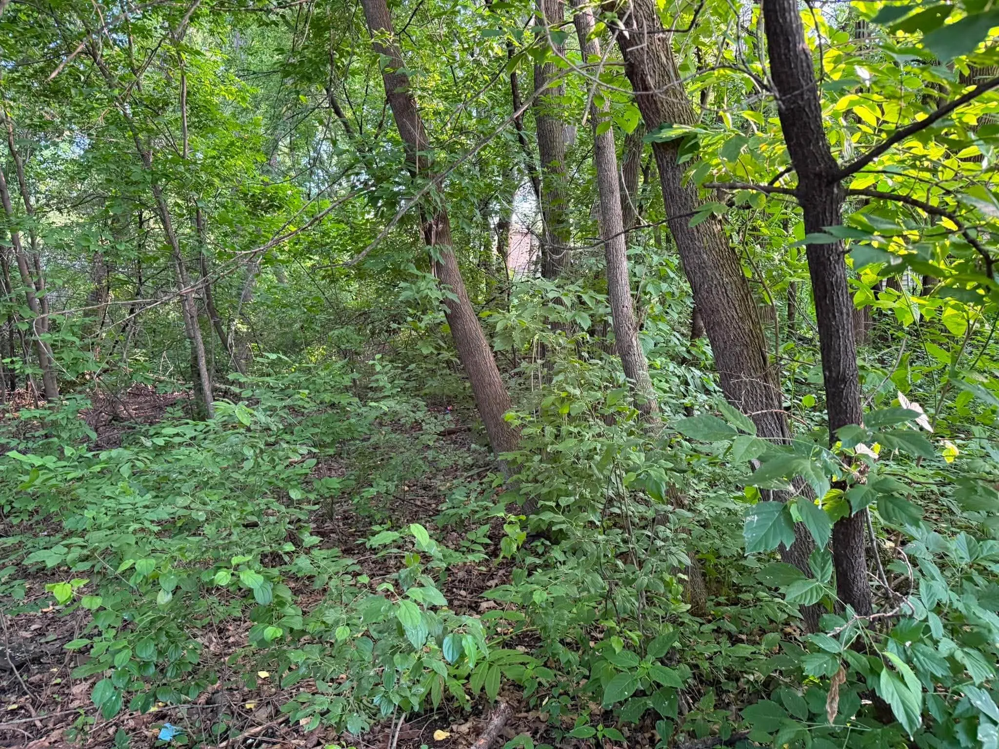Photo 7 of Tbd 26th N Street