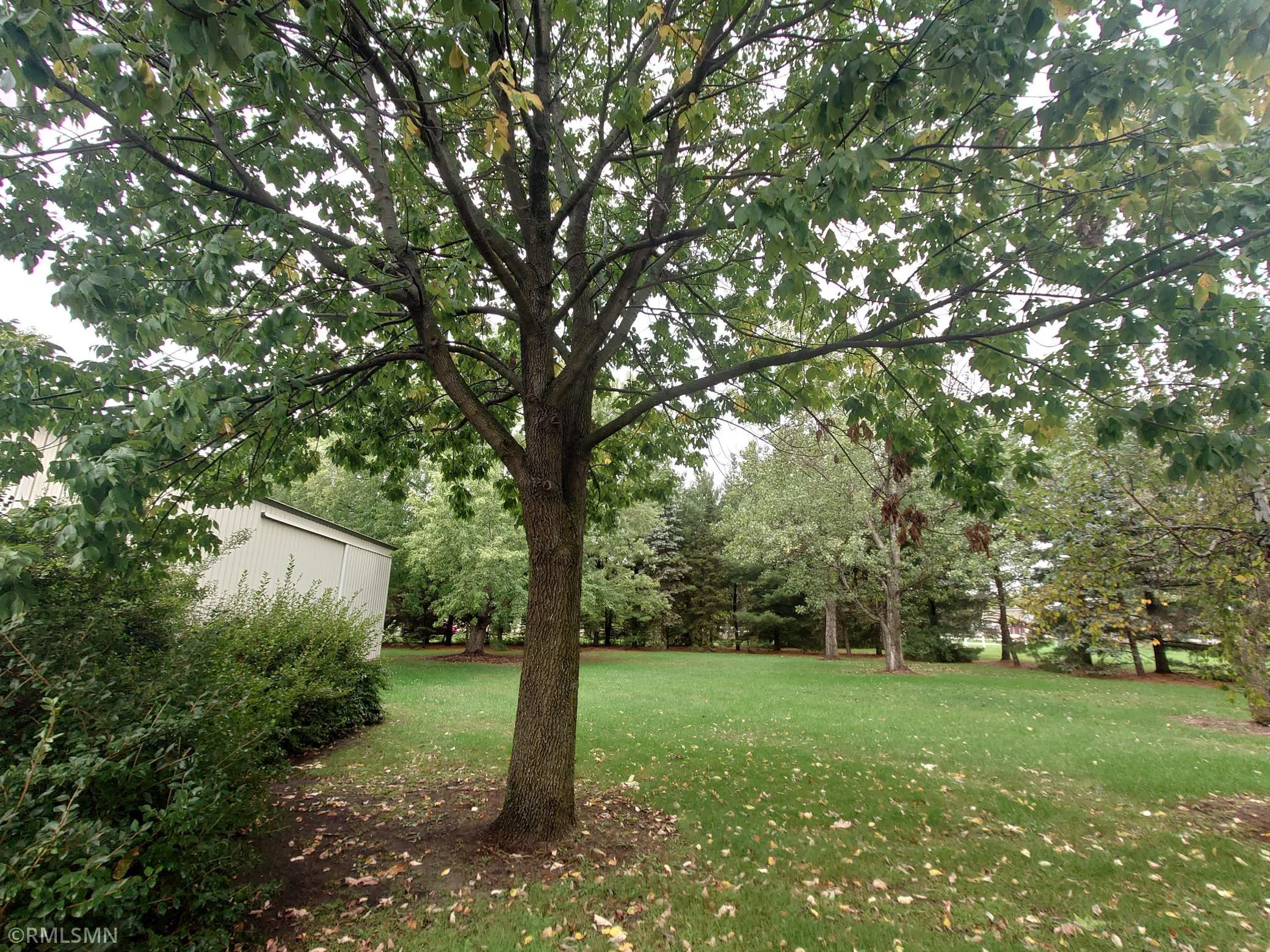 Photo 58 of 12369 95th Ne Street