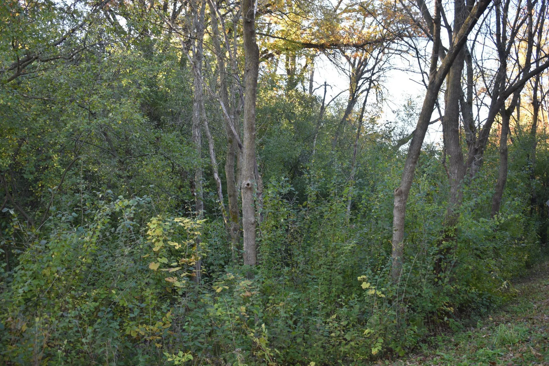 Photo 11 of 5470 Rowland Road