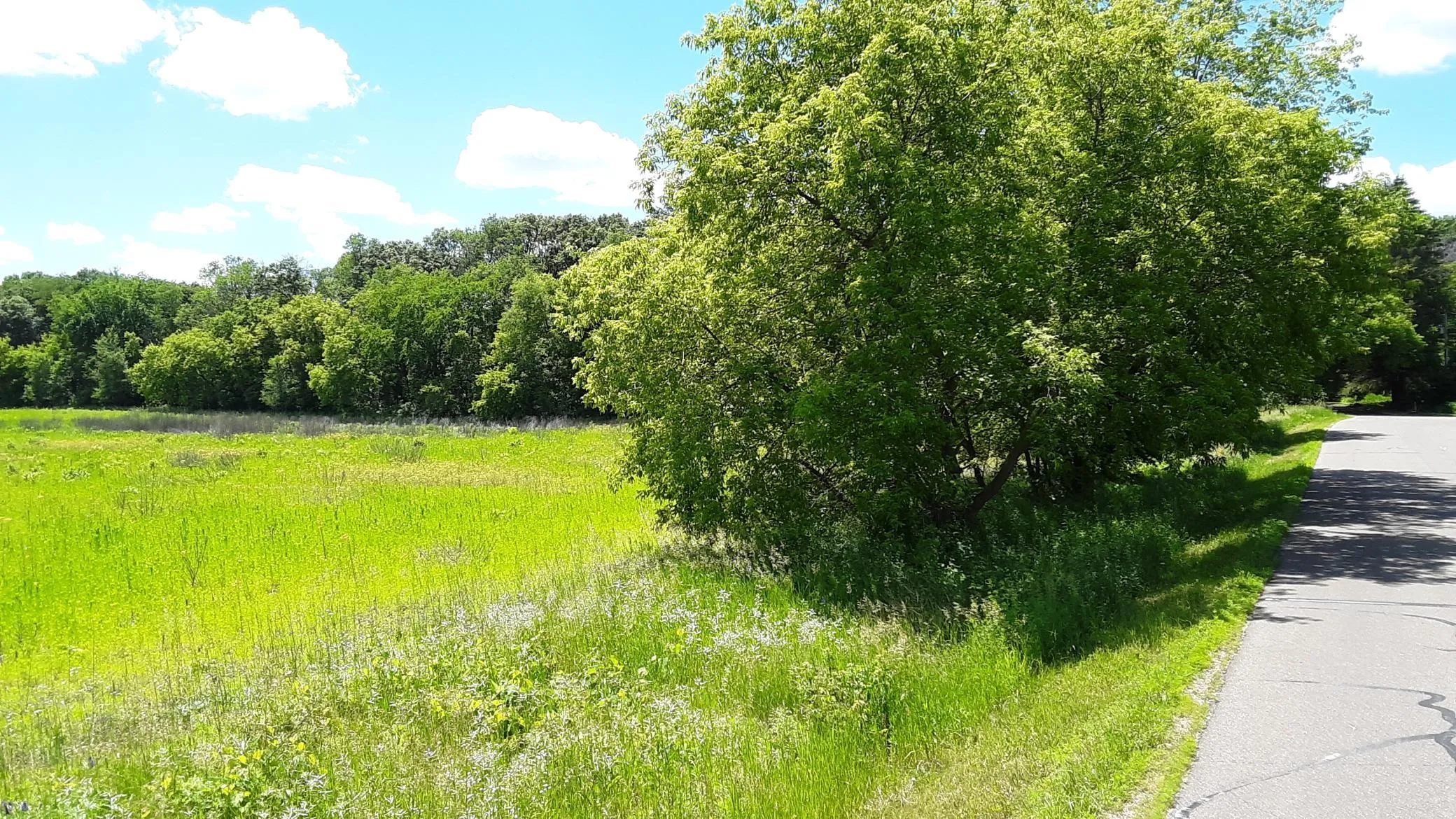 Photo 9 of Lot 1 Block 2 Kettle River Ne Boulevard
