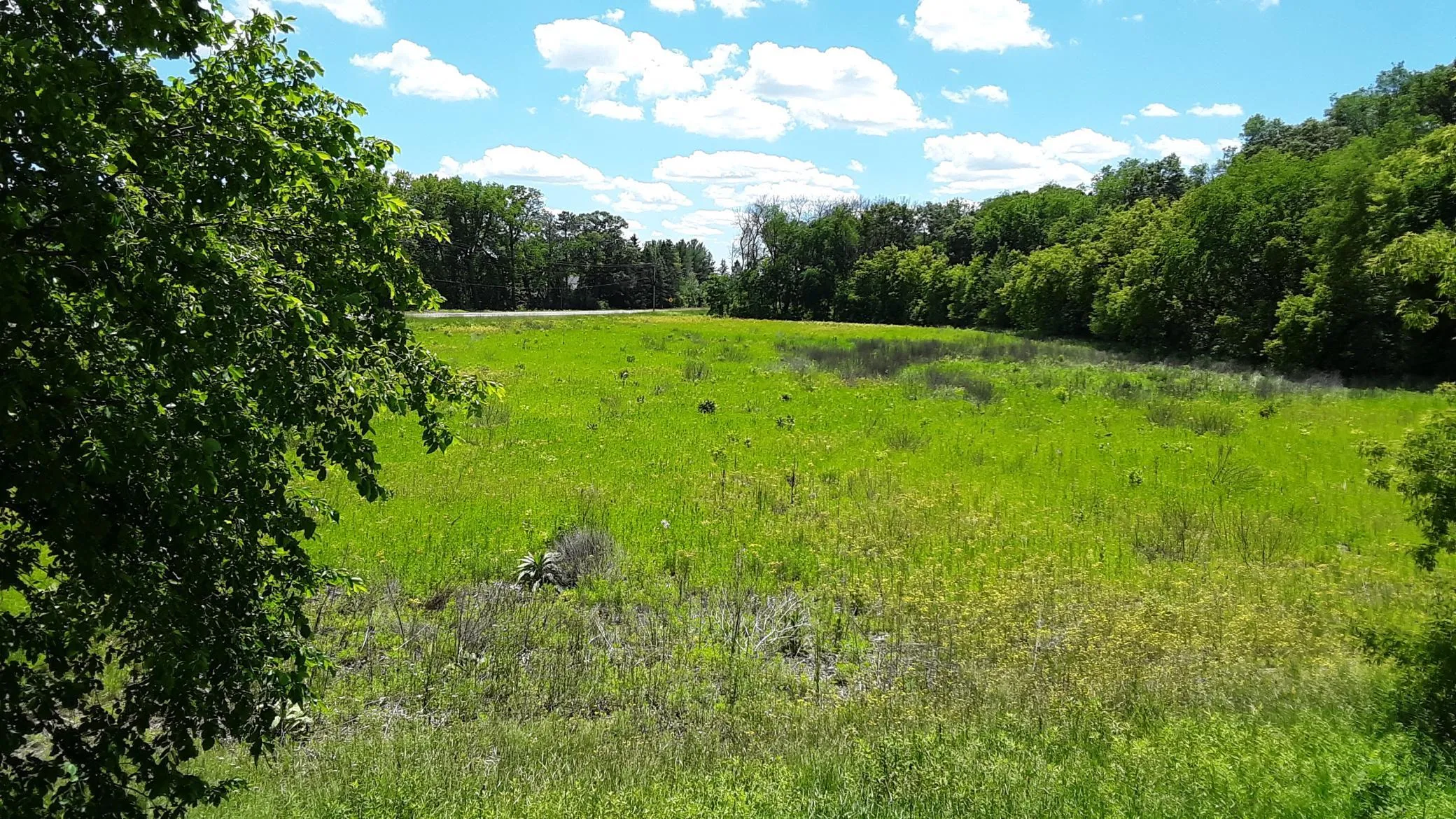 Photo 6 of Lot 1 Block 2 Kettle River Ne Boulevard