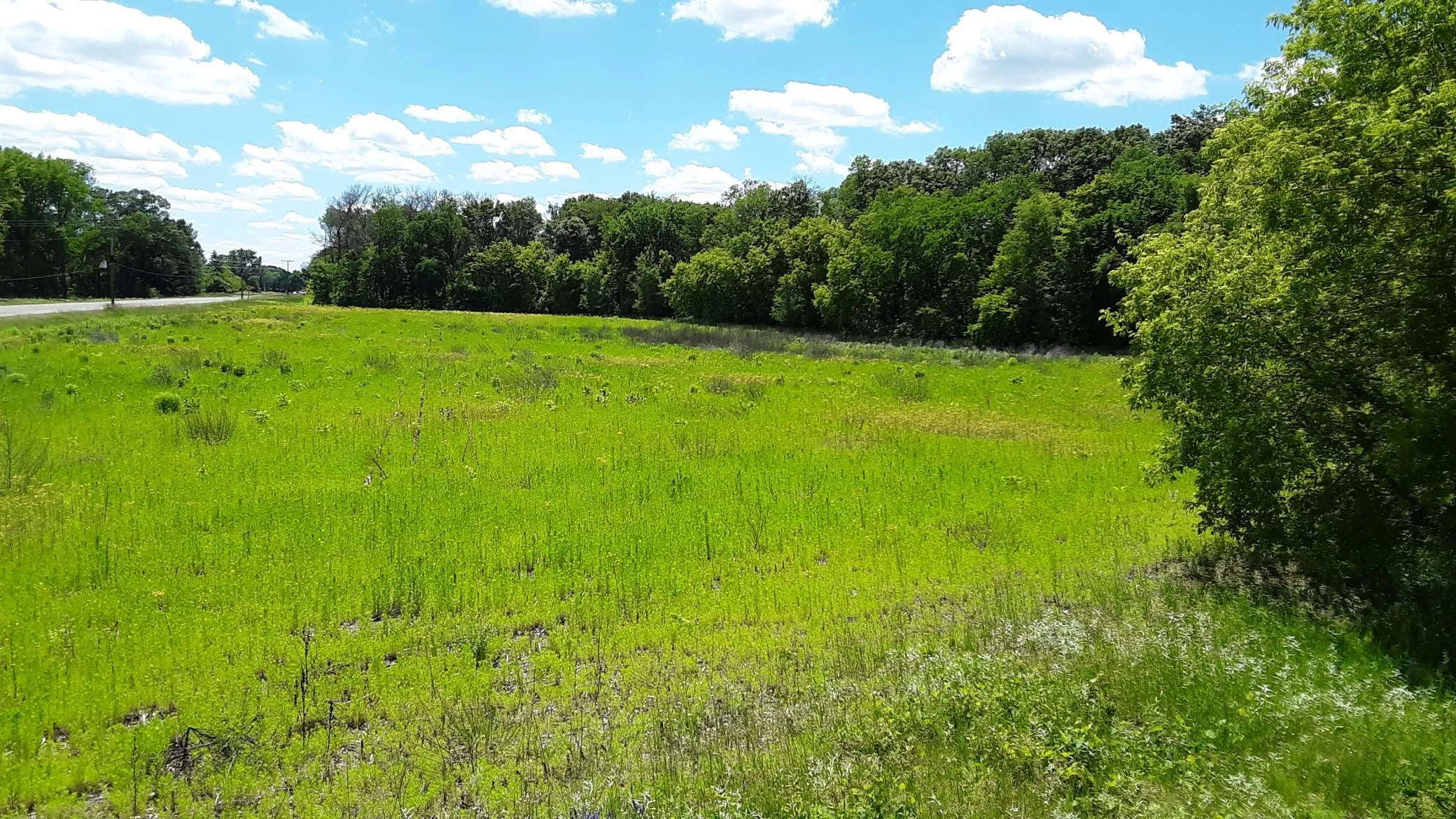 Photo 10 of Lot 1 Block 2 Kettle River Ne Boulevard
