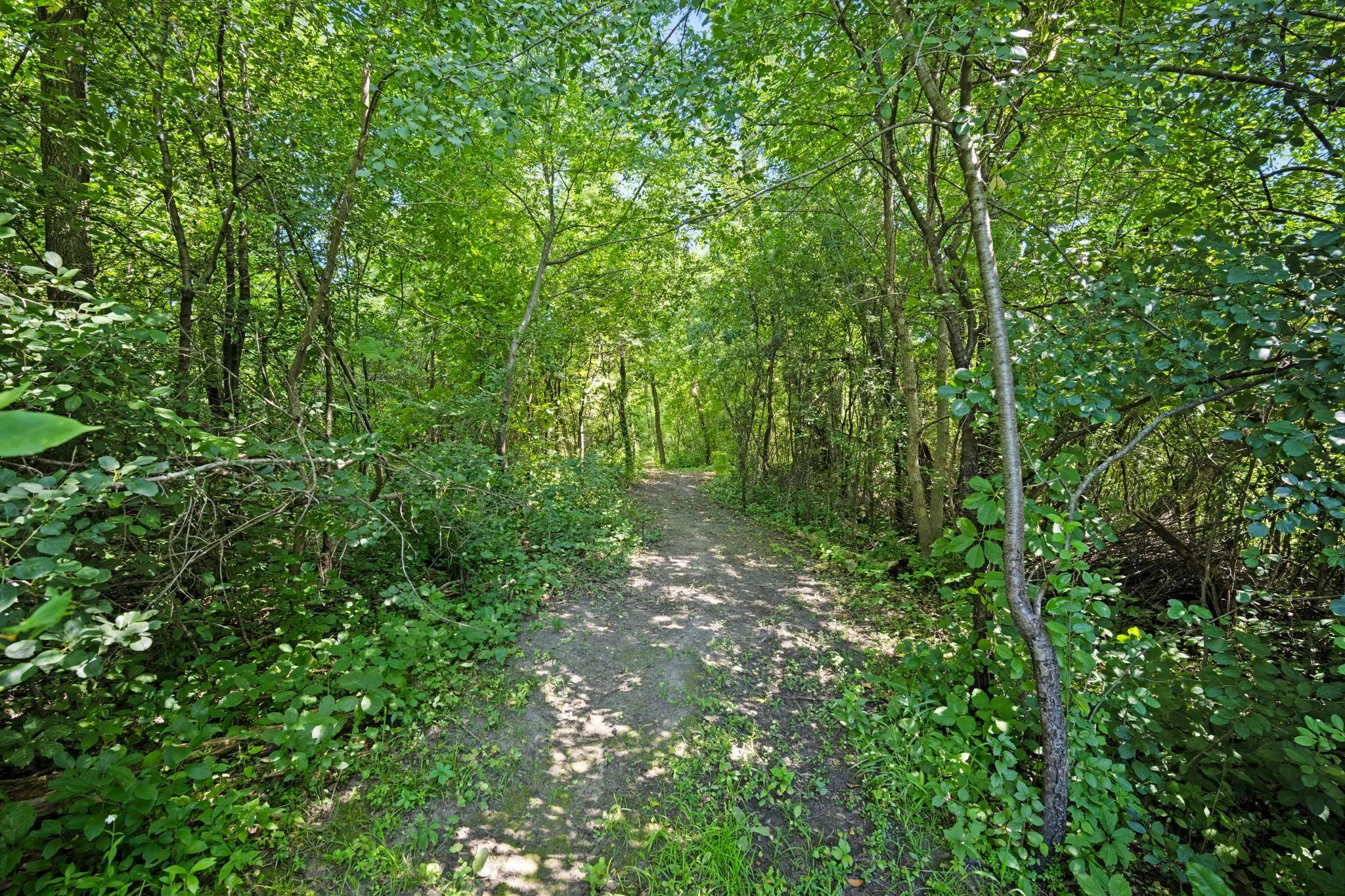 Photo 48 of 433 County Road 39 Nw
