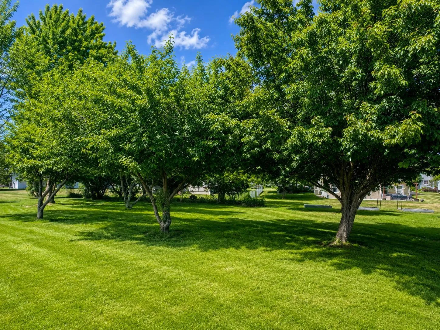 Photo 4 of 109 French Court