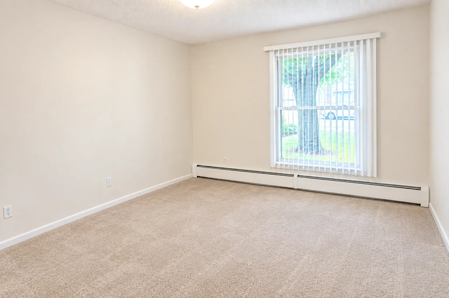 Photo 8 of 711 11th S Avenue Unit 1