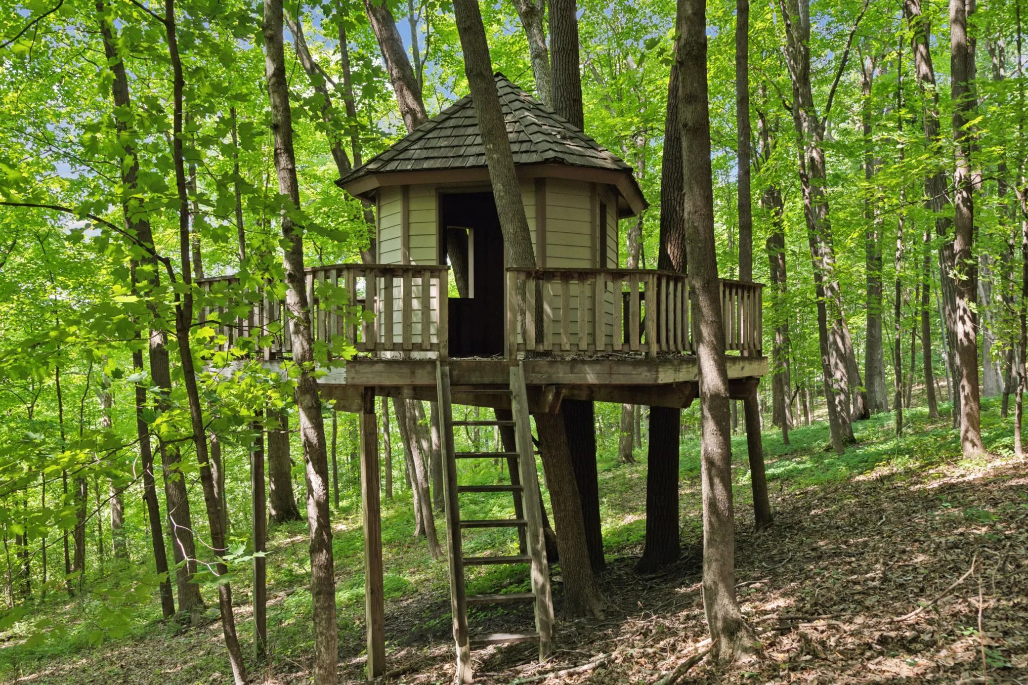 Photo 60 of 1420 Tamarack Drive