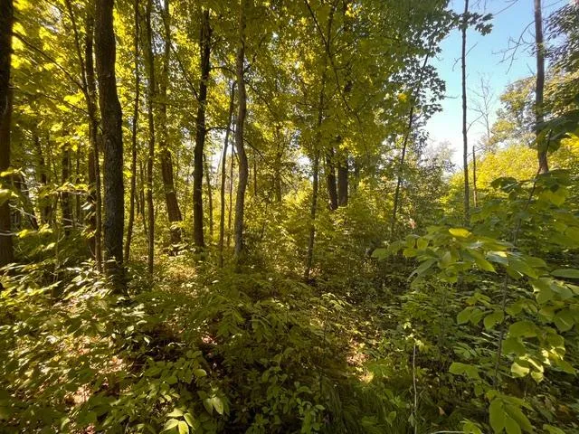 Photo 7 of Lot 1 County Road Bb