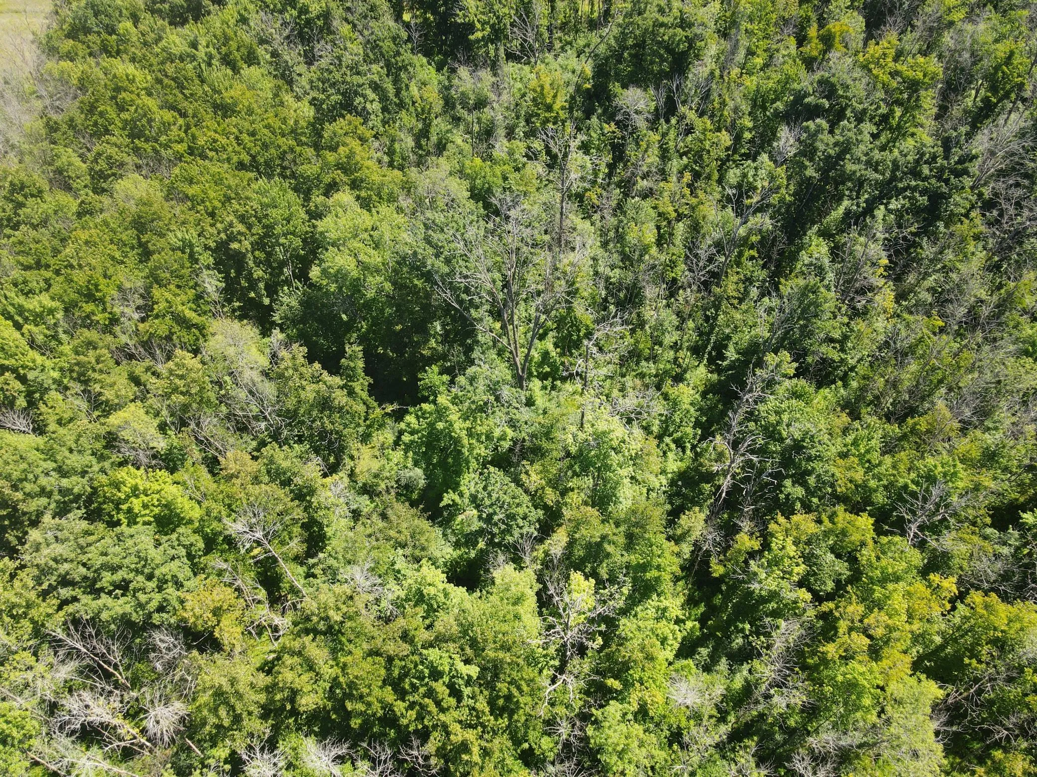 Photo 9 of Lot 1 County Road Bb