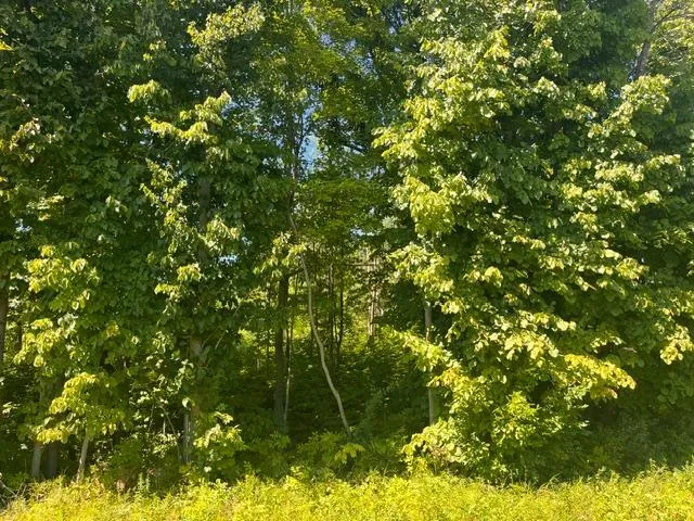 Photo 4 of Lot 1 County Road Bb