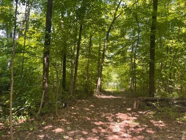 Photo 3 of Lot 2 County Rd Bb