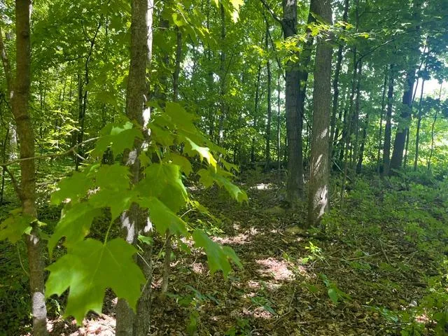 Photo 10 of Lot 2 County Rd Bb