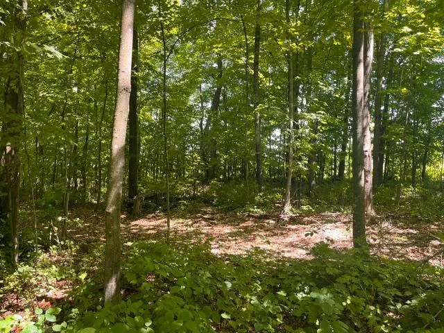 Photo 9 of Lot 2 County Rd Bb