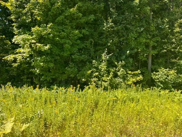Photo 2 of Lot 2 County Rd Bb