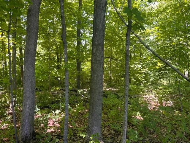 Photo 5 of Lot 2 County Rd Bb