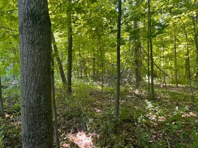 Photo 4 of Lot 2 County Rd Bb