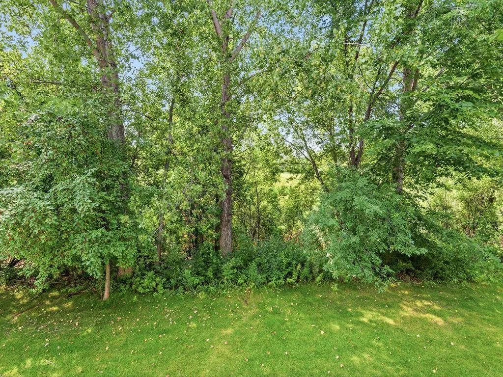 Photo 13 of 9004 Marsh Run Street