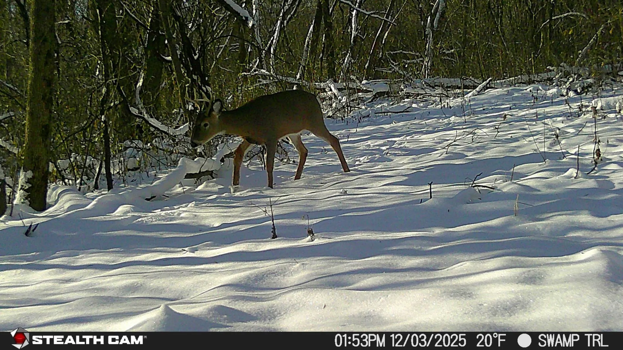 Photo 20 of Tbd Hidden Lane