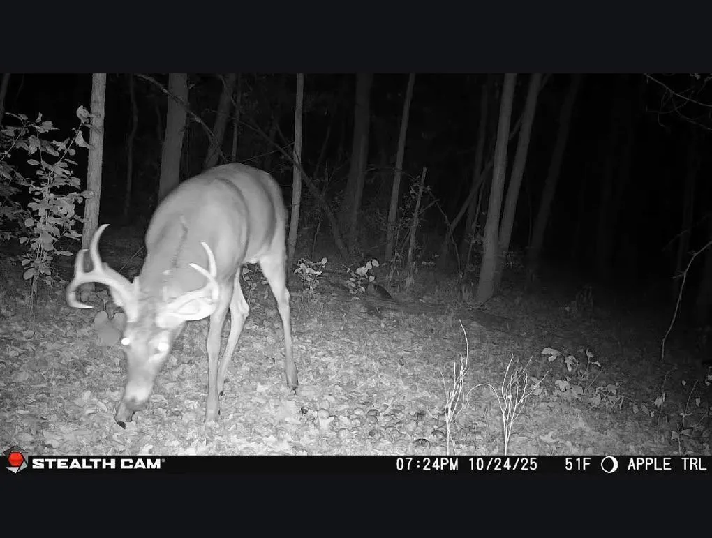 Photo 19 of Tbd Hidden Lane