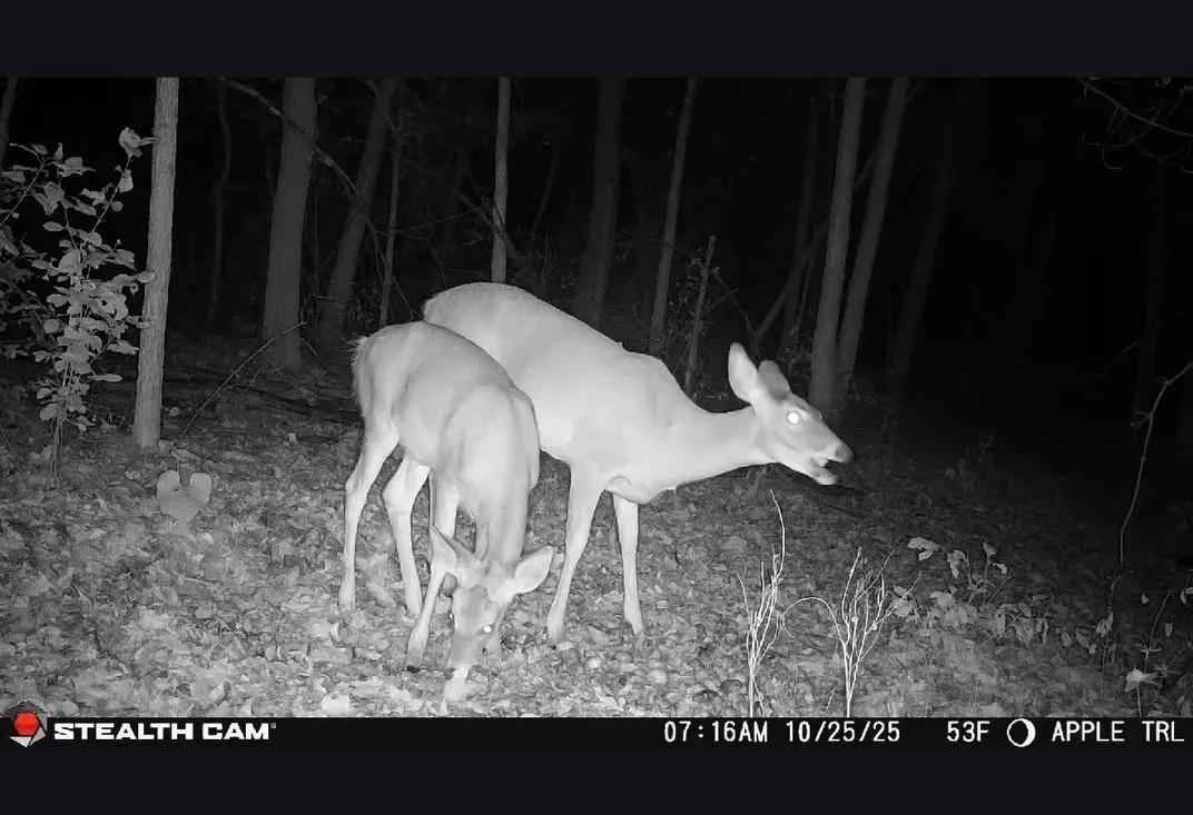 Photo 18 of Tbd Hidden Lane