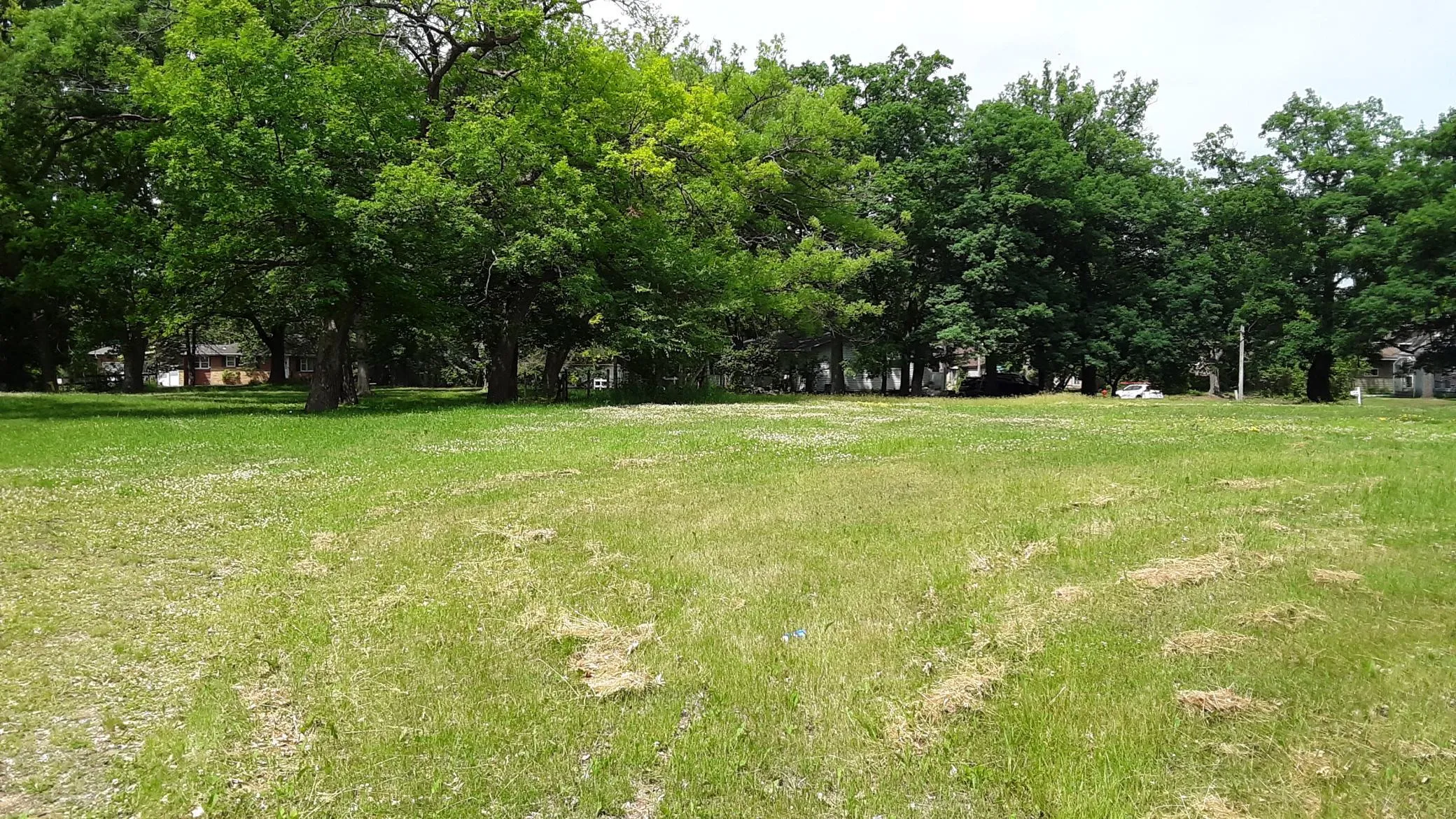 Photo 7 of 33x 4th Nw Avenue