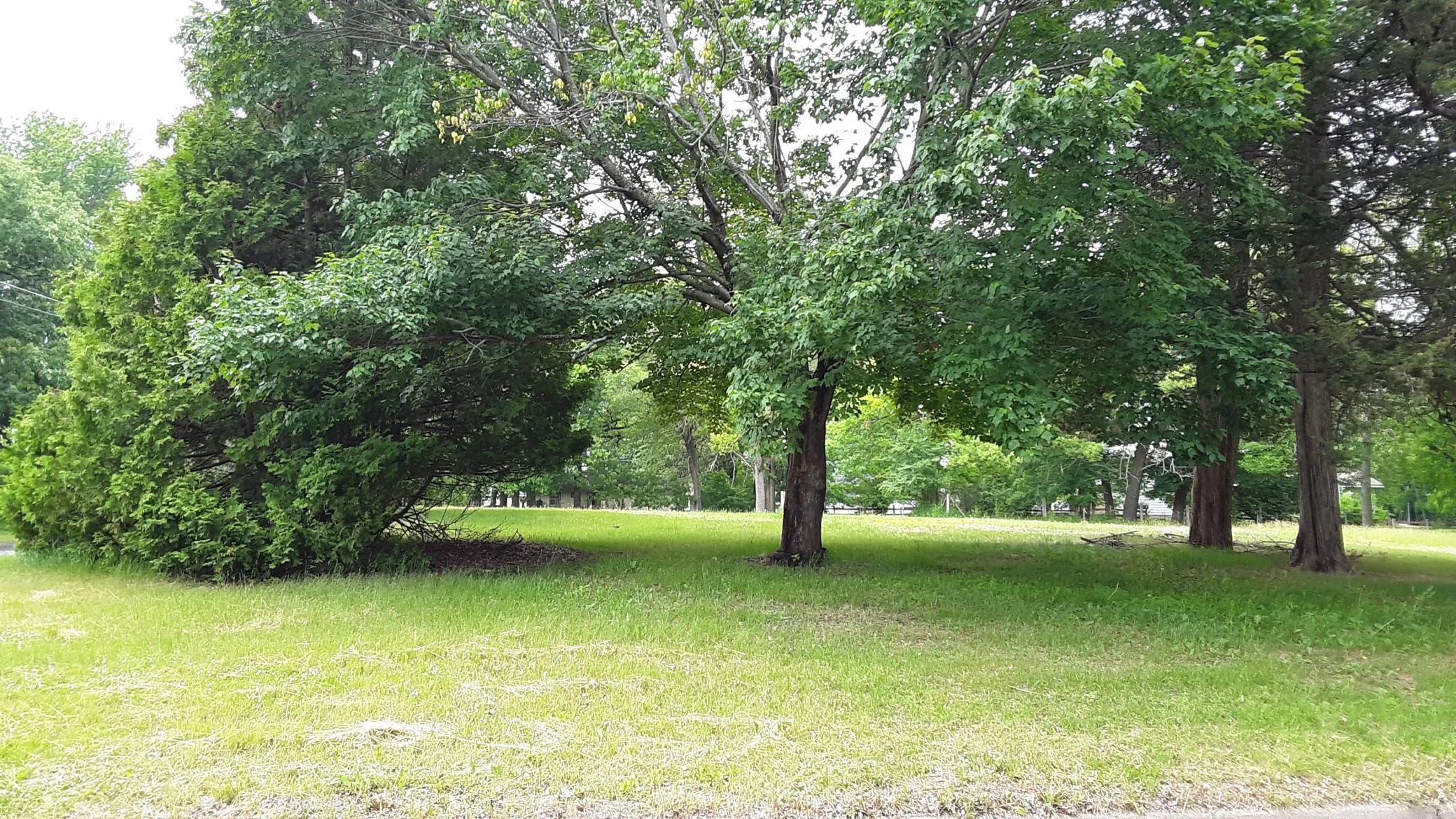 Photo 4 of 34x 3rd Nw Avenue