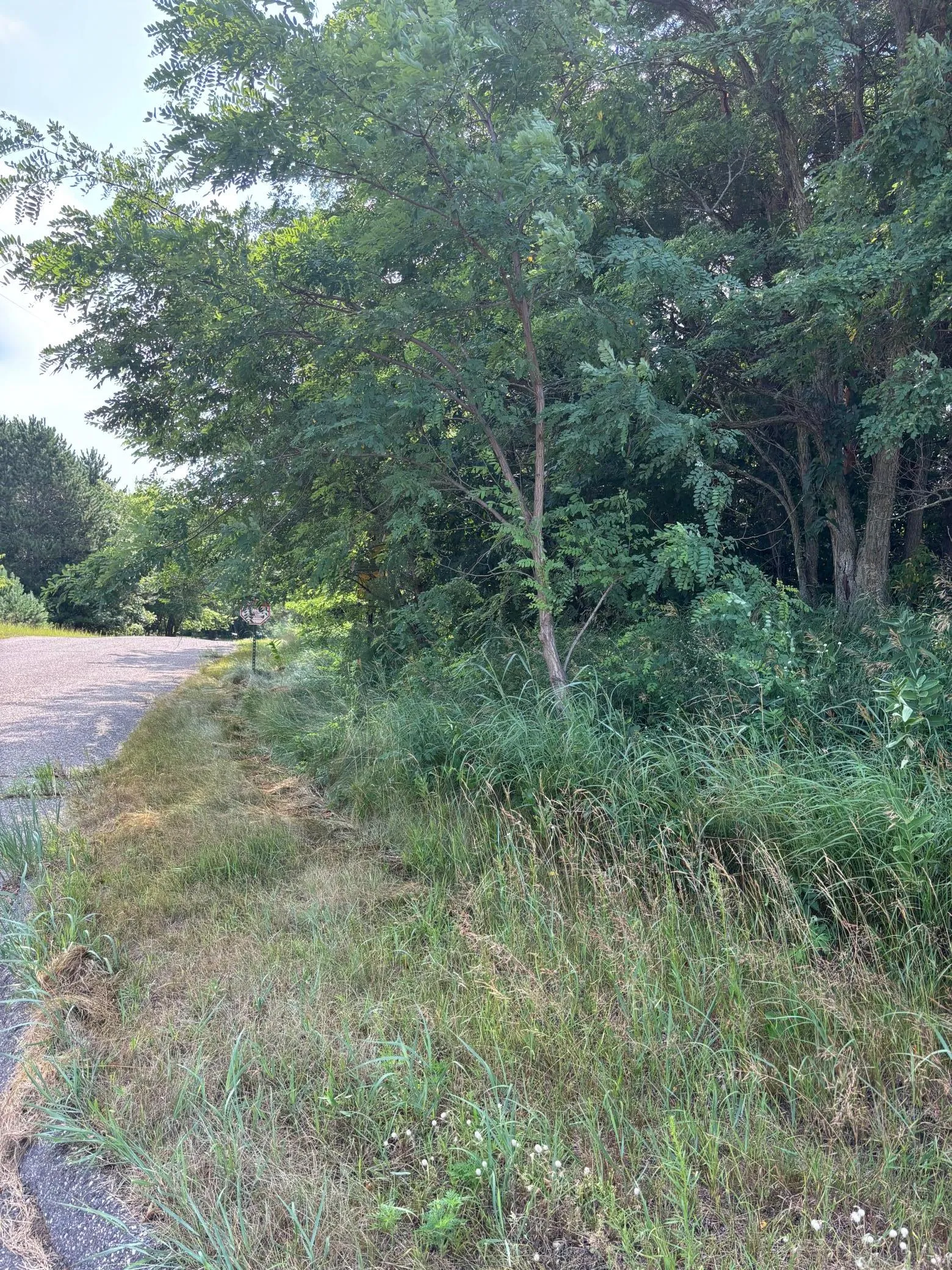 Photo 5 of Tbd 227th Ne Lane