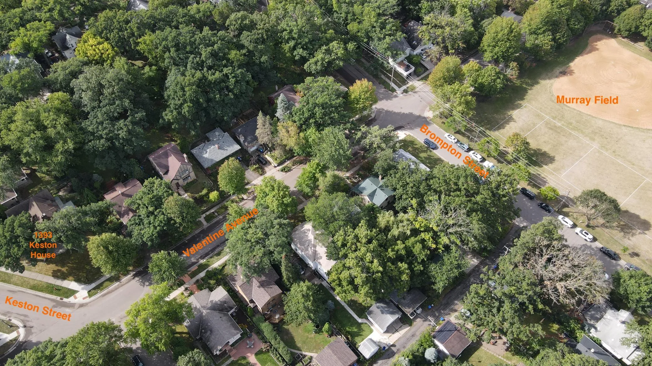 Photo 42 of 1393 Keston Street