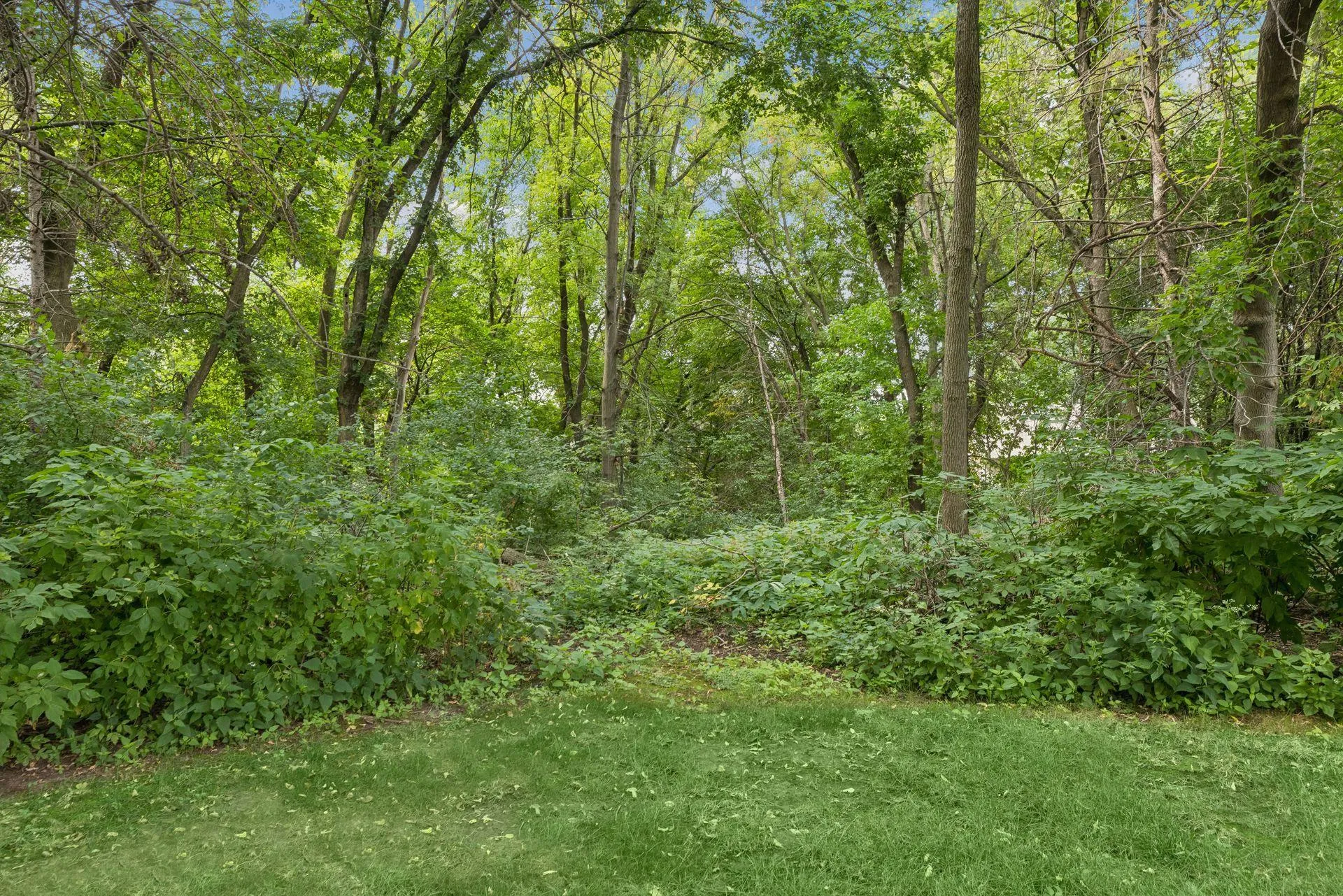 Photo 47 of 1355 Medora Road
