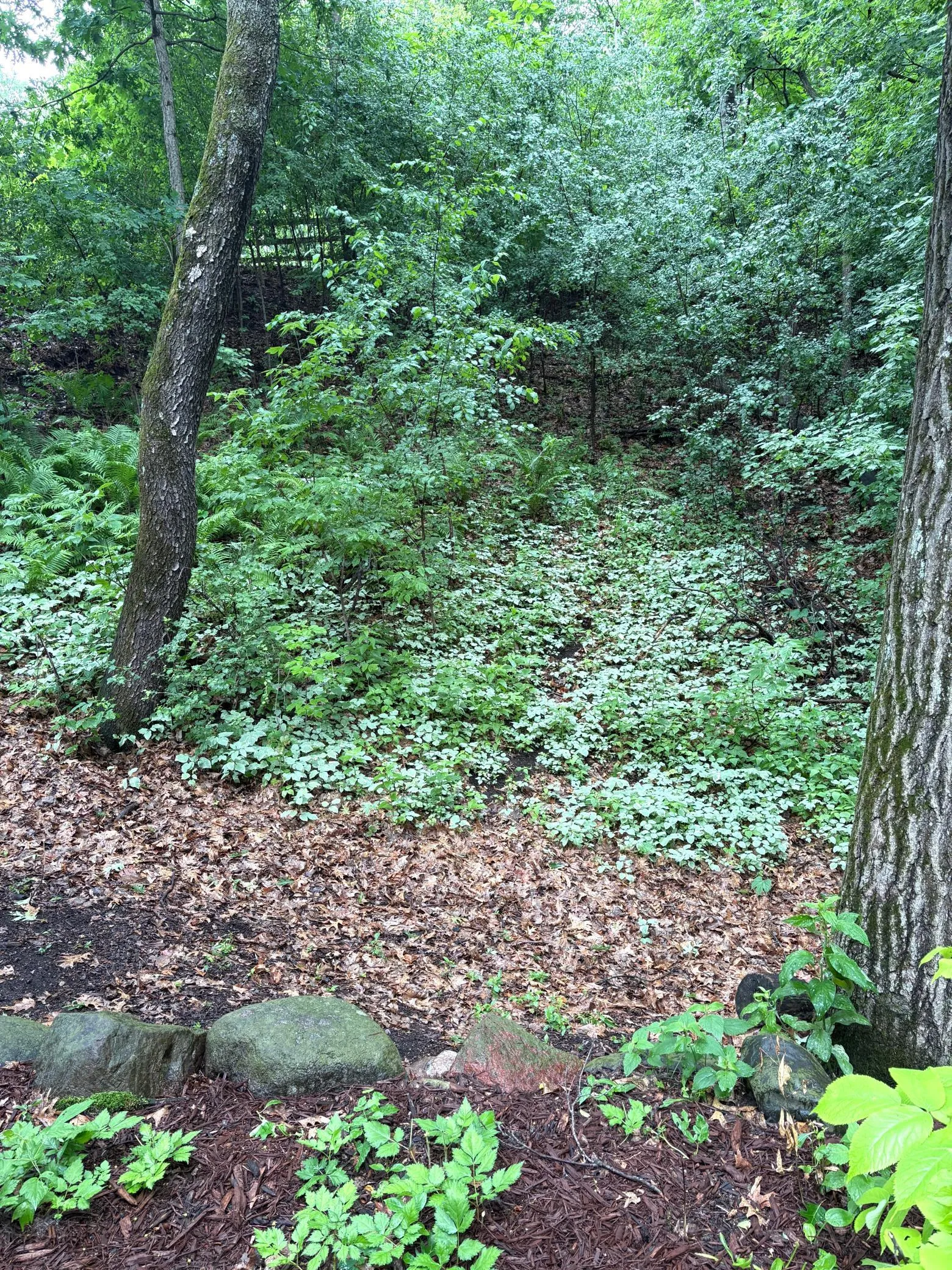 Photo 45 of 4015 Hosford Hills Road