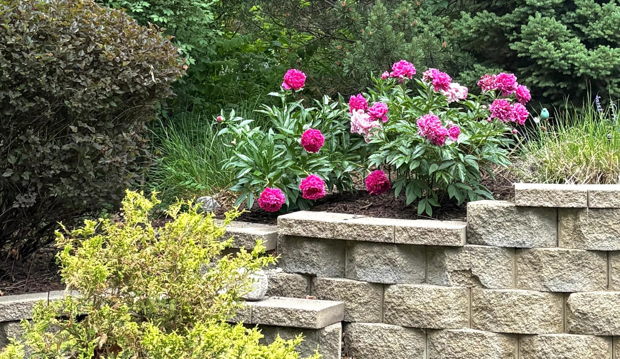 Photo 52 of 4015 Hosford Hills Road