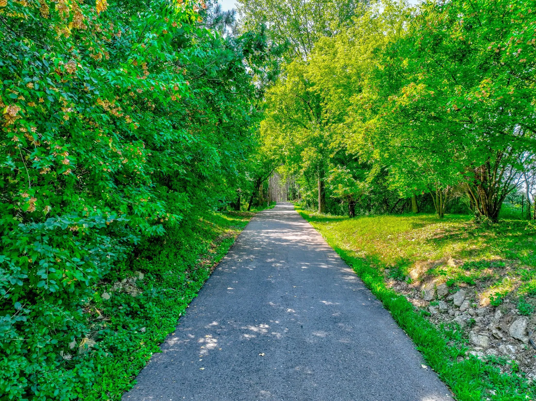 Photo 71 of 12860 Saint Croix N Trail