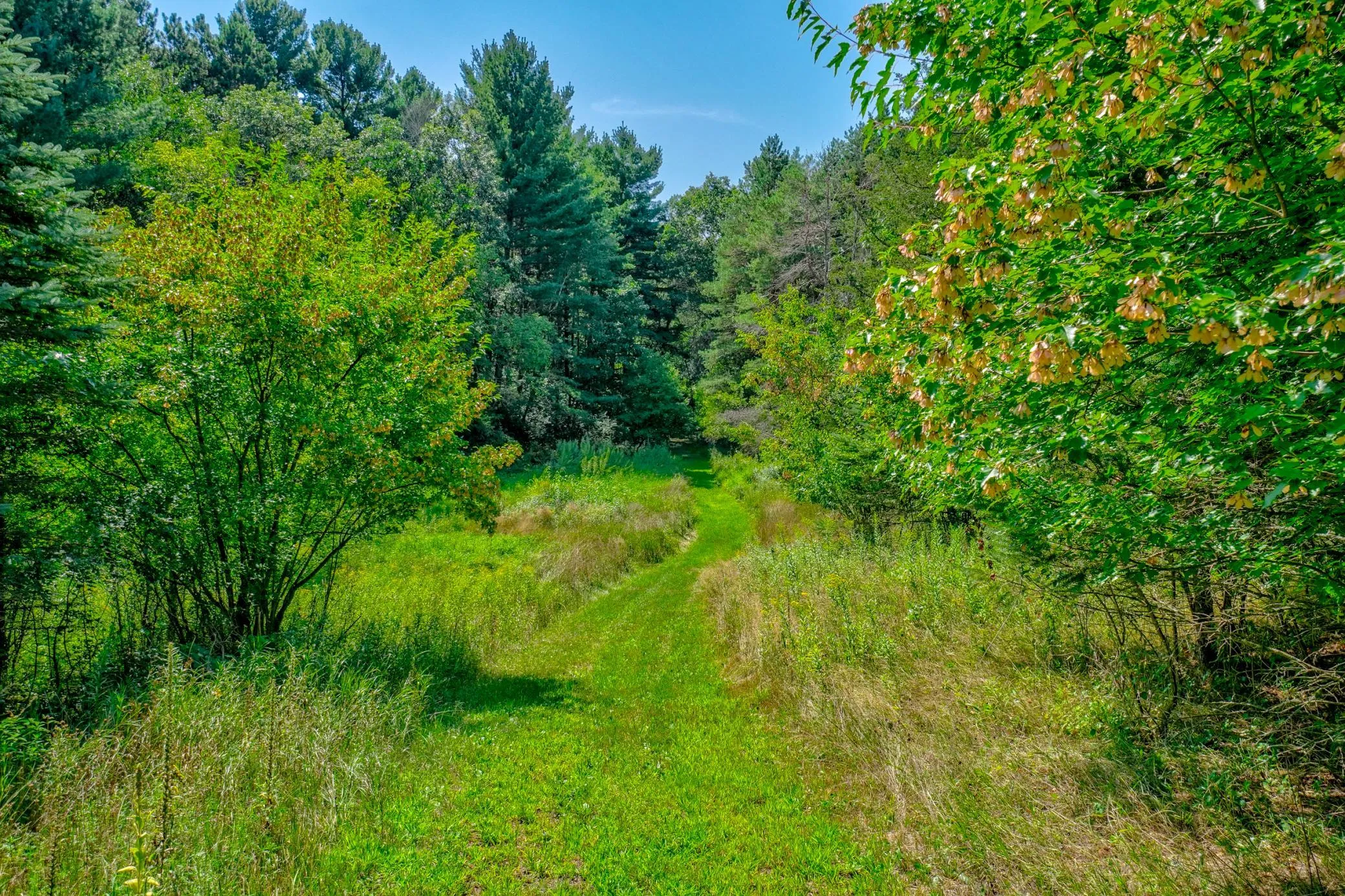 Photo 57 of 12860 Saint Croix N Trail