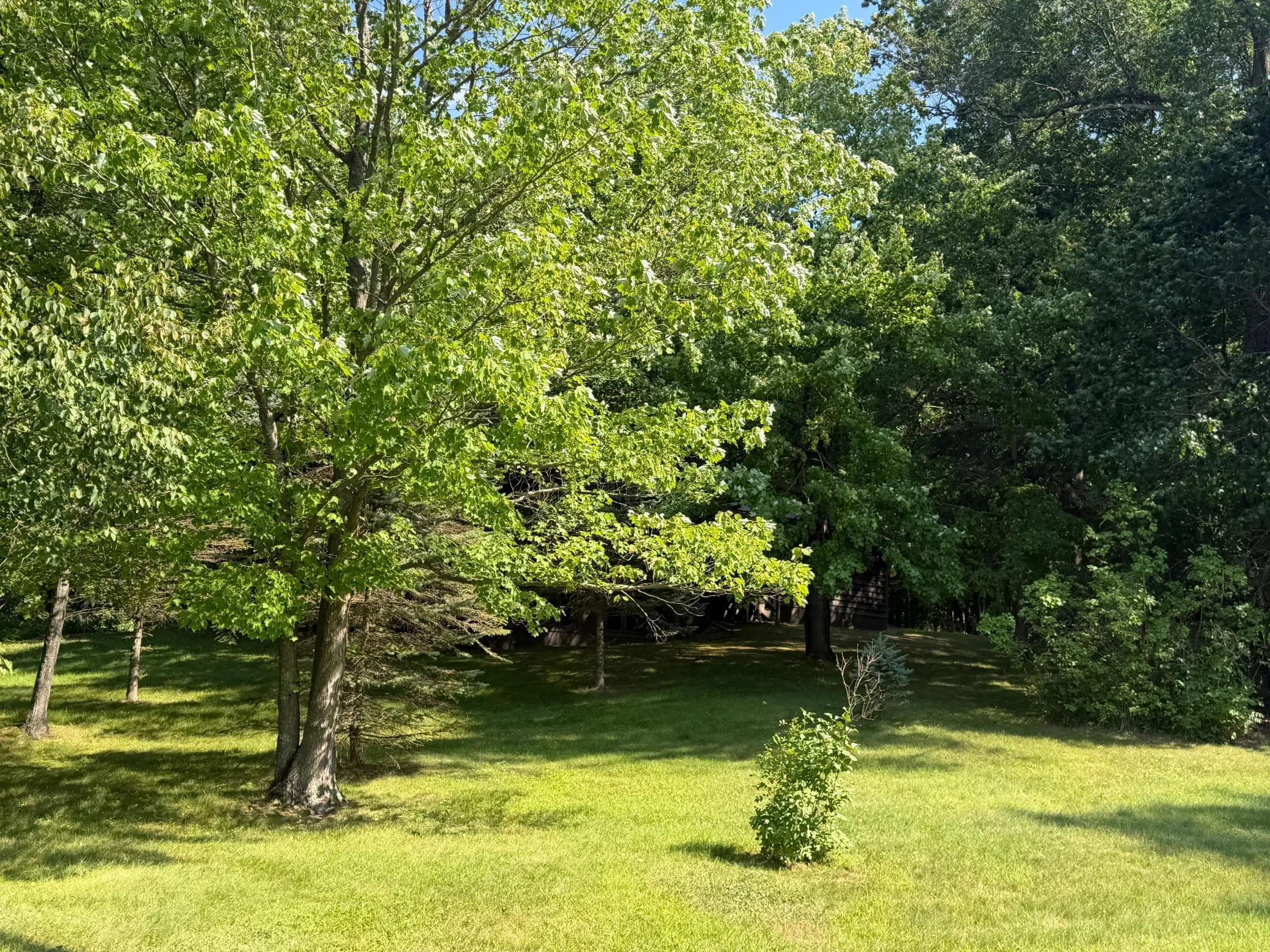Photo 54 of 1942 70th Avenue