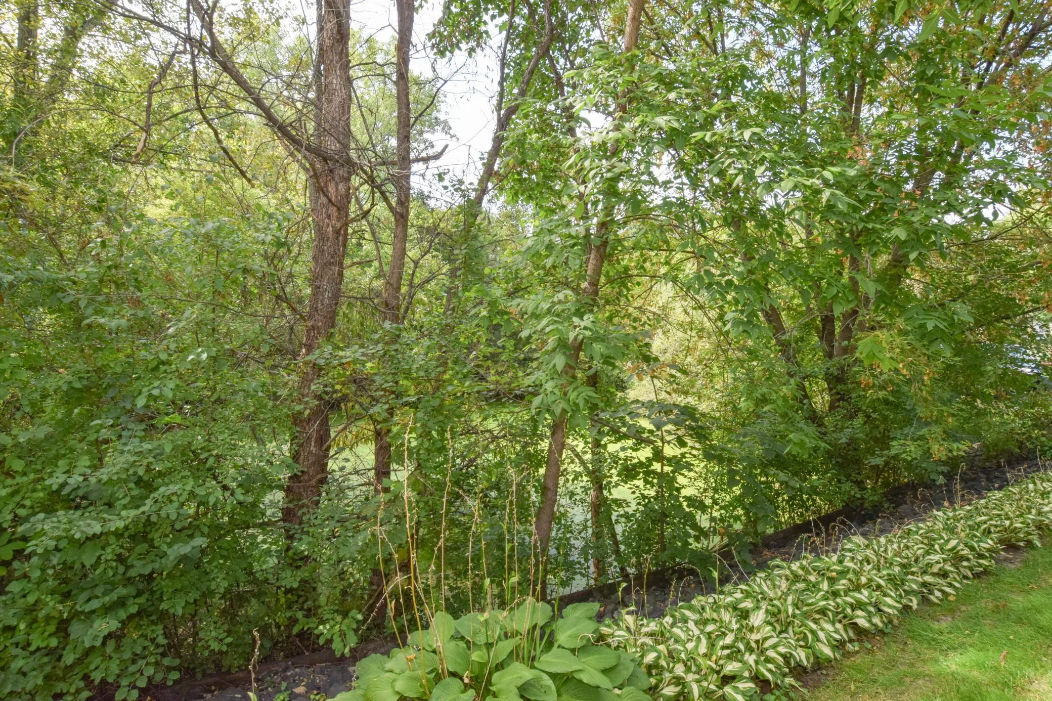 Photo 22 of 1010 18th Se Avenue