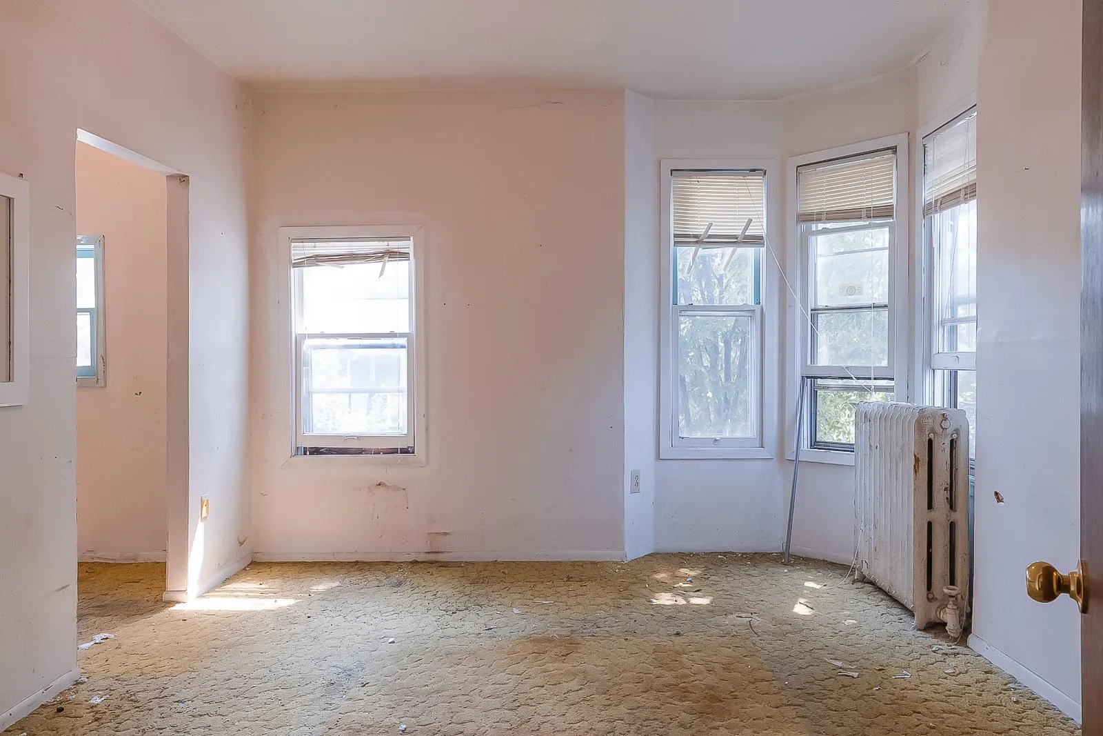 Photo 36 of 677 Sims Avenue