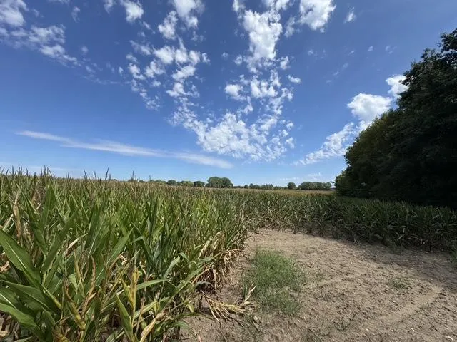 Photo 8 of 14xxx County Road 75 Nw