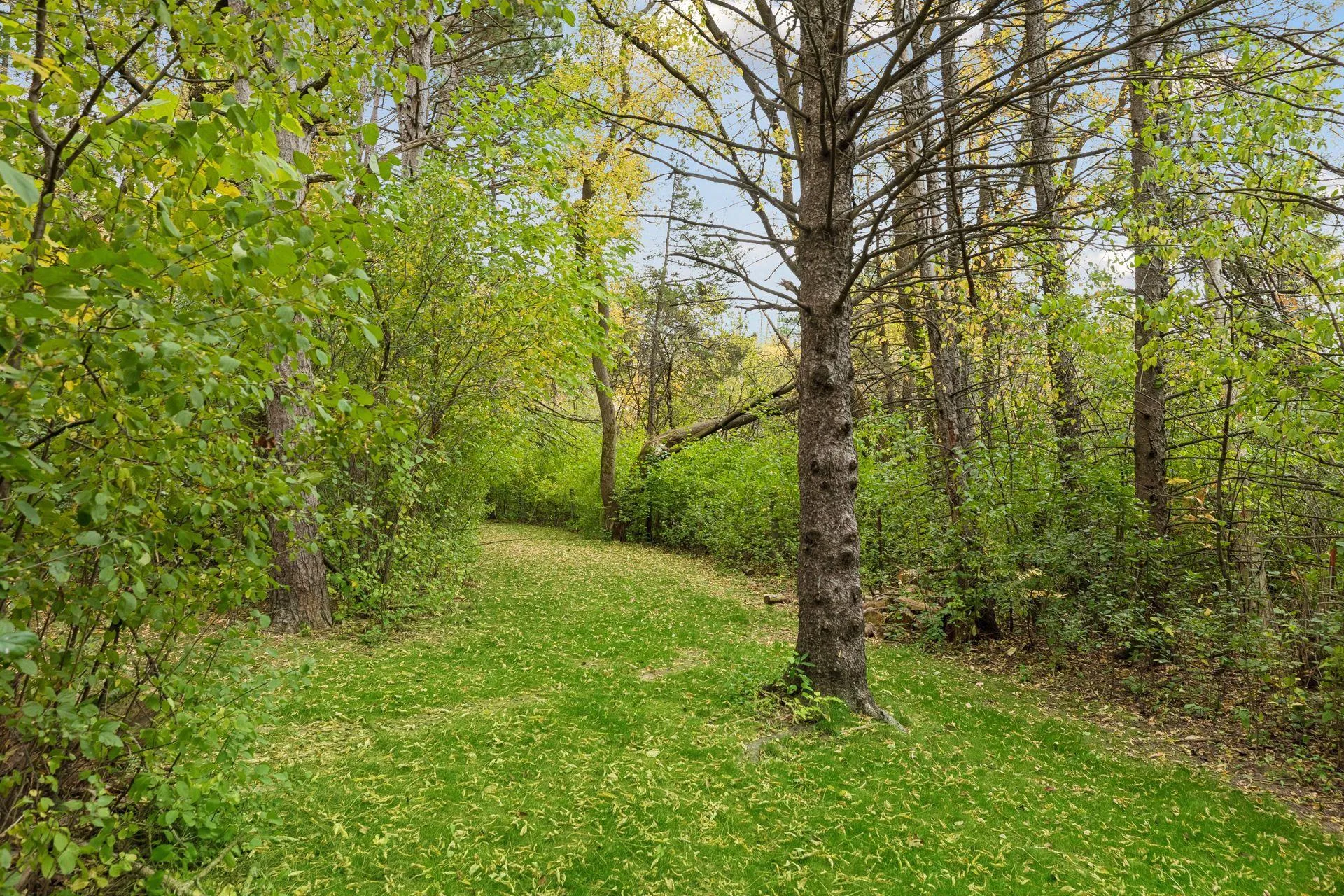 Photo 65 of 12015 July N Avenue