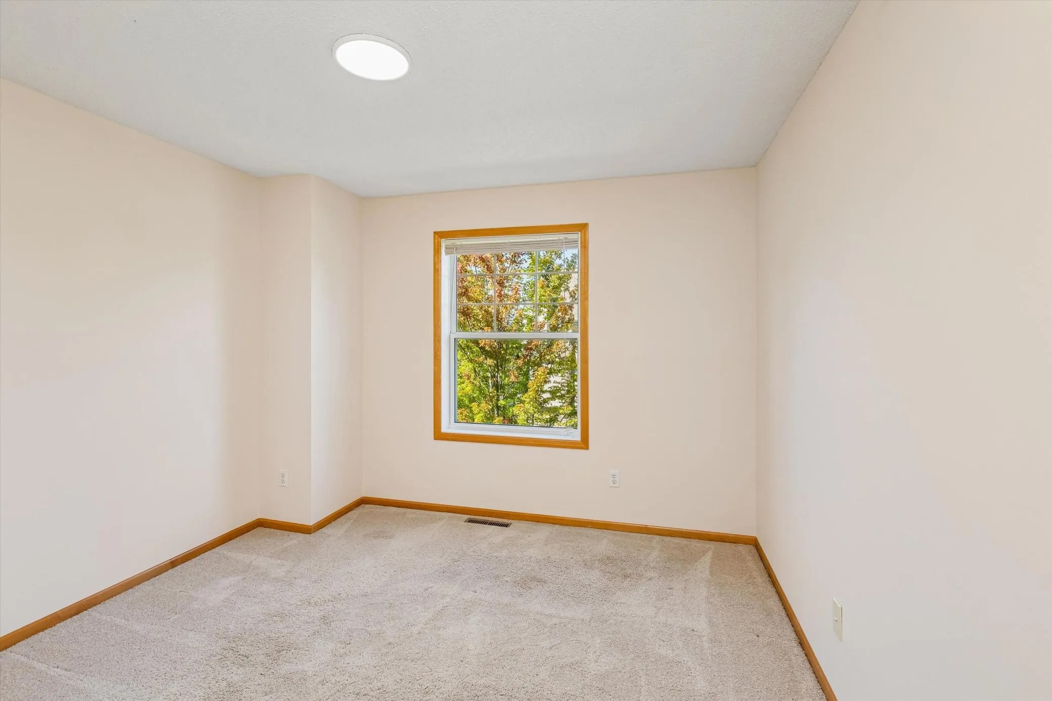Photo 11 of 7531 Southridge Court