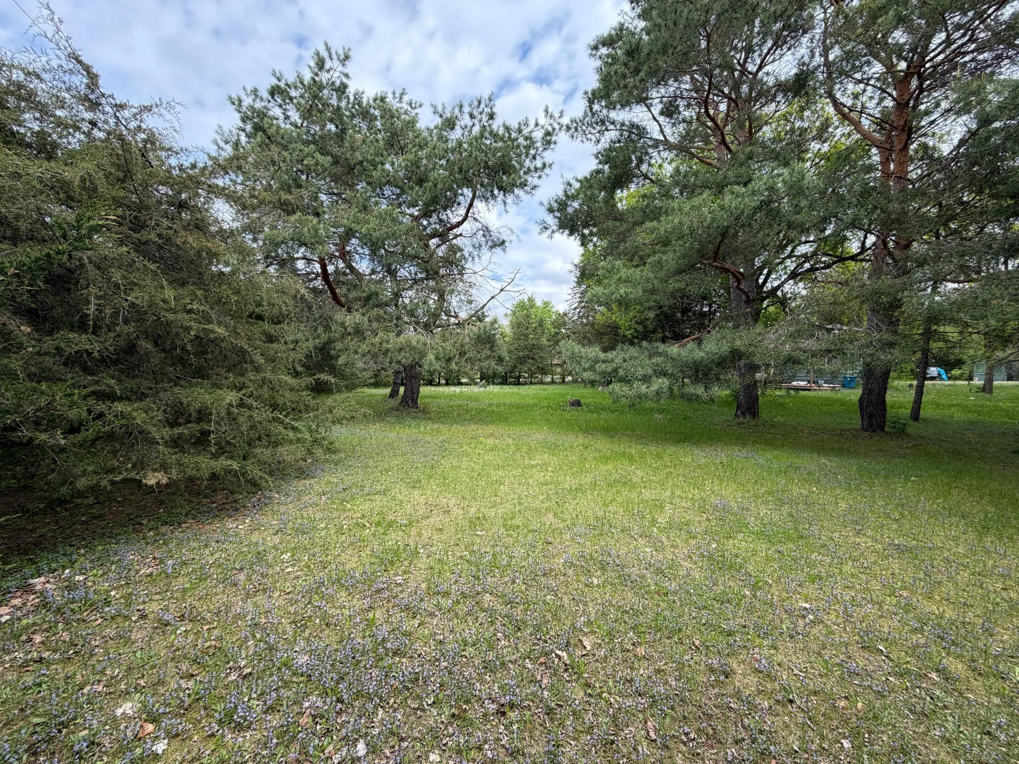 Photo 15 of 980 Porter Street