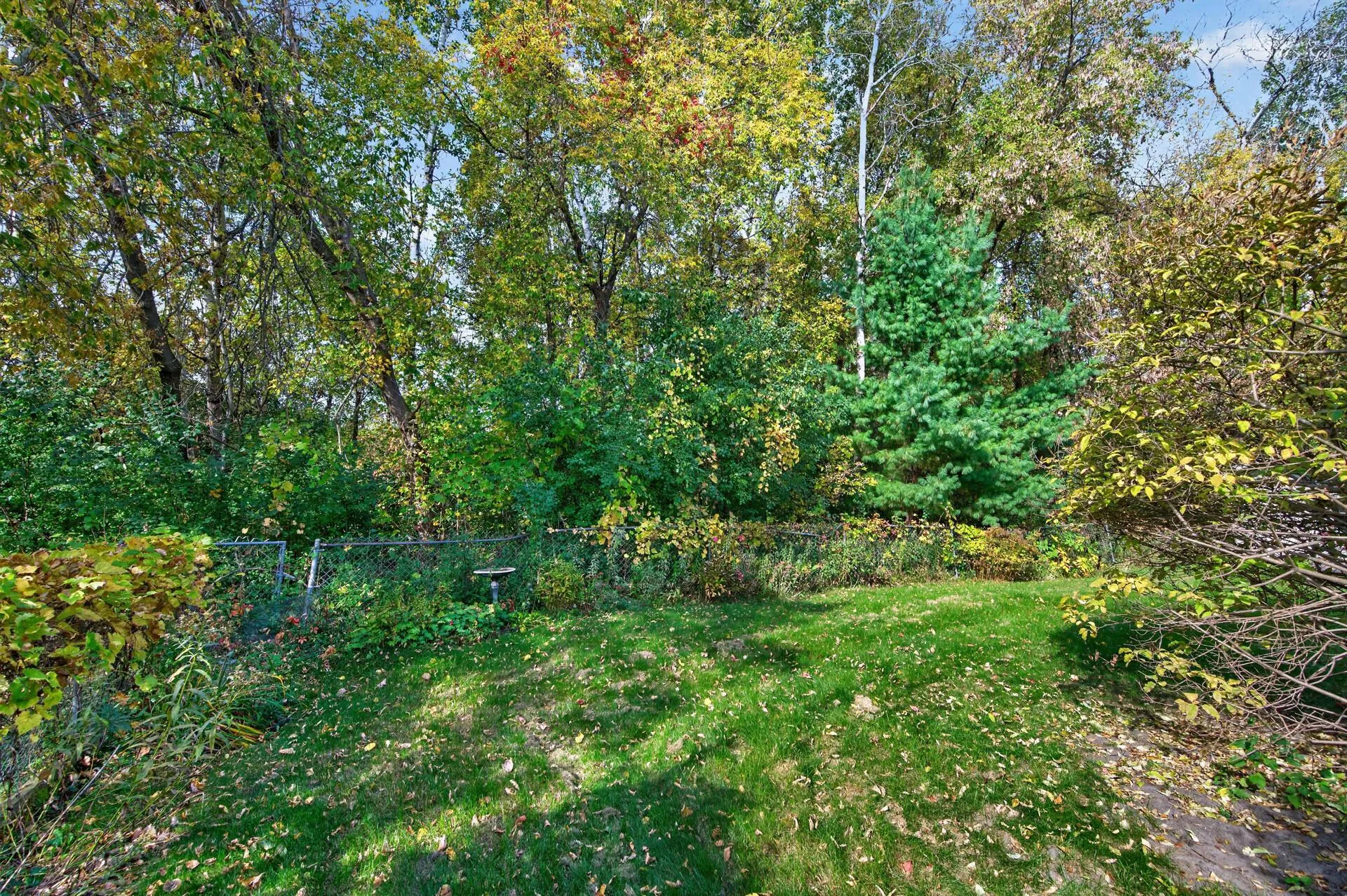 Photo 40 of 5773 Ridge Creek Road