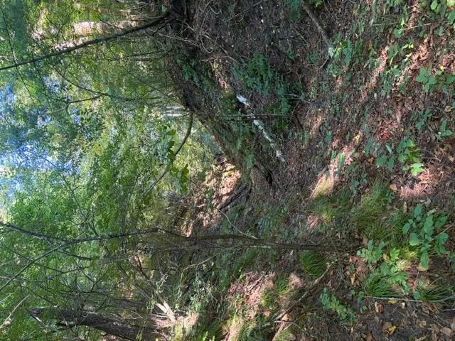 Photo 4 of 649 193rd Avenue