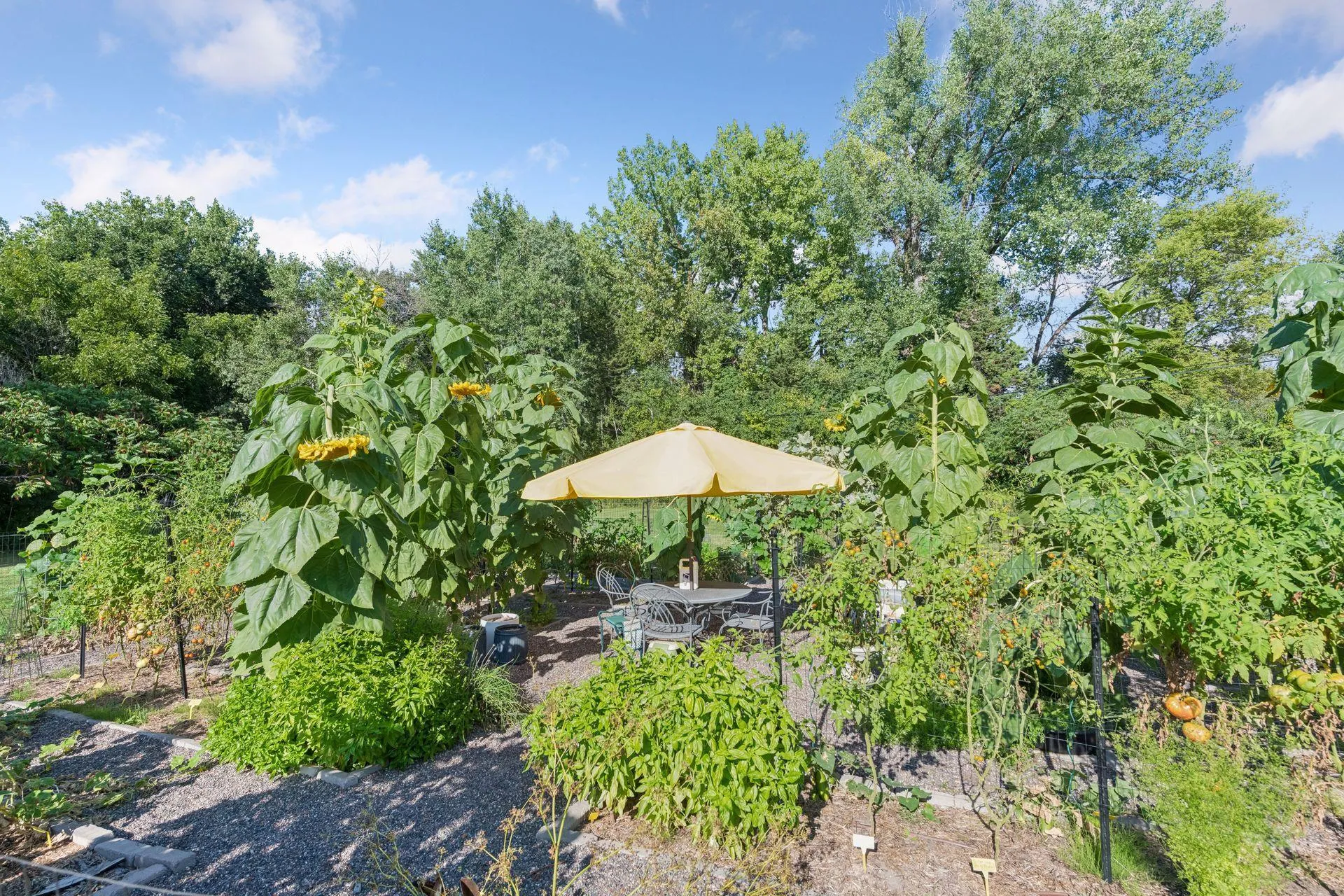 Photo 62 of 330 Peavey Road