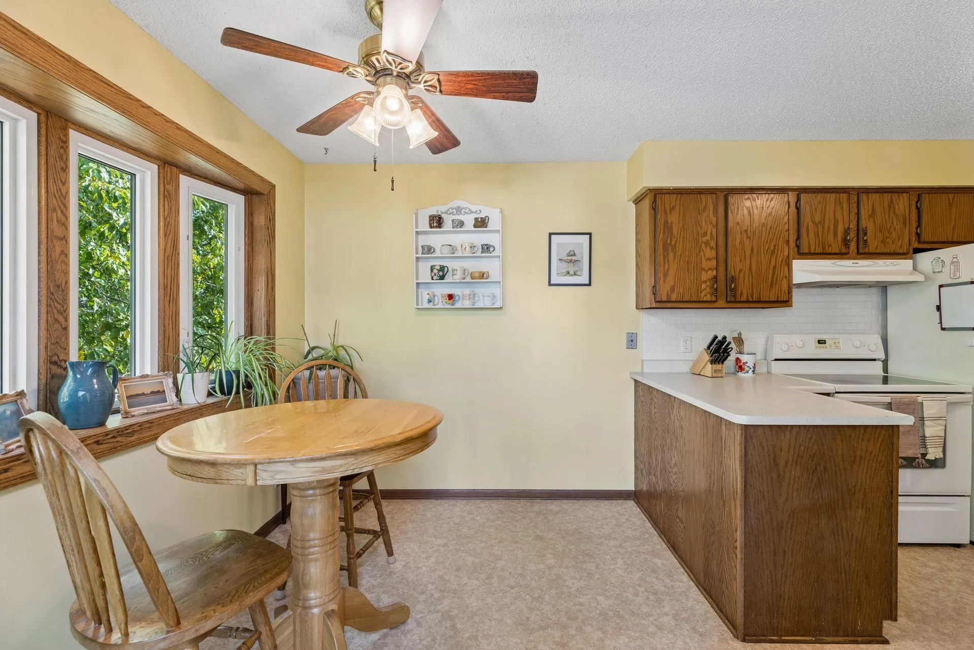 Photo 9 of 973 Greenhaven Drive