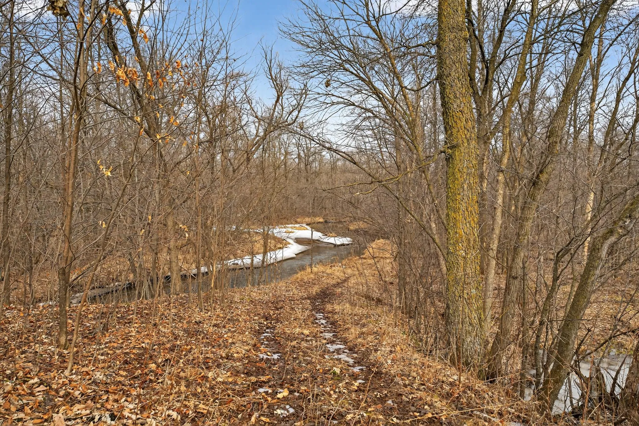 Photo 4 of 1xxxx St Croix Trail