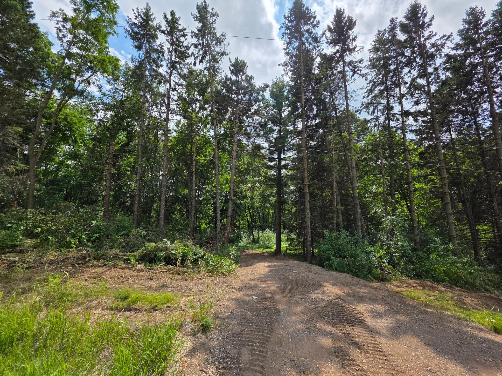 Photo 4 of 14xxx Dellwood N Road